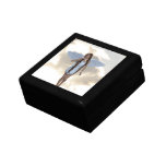 Angelic Cloud Dancer Gift Box
